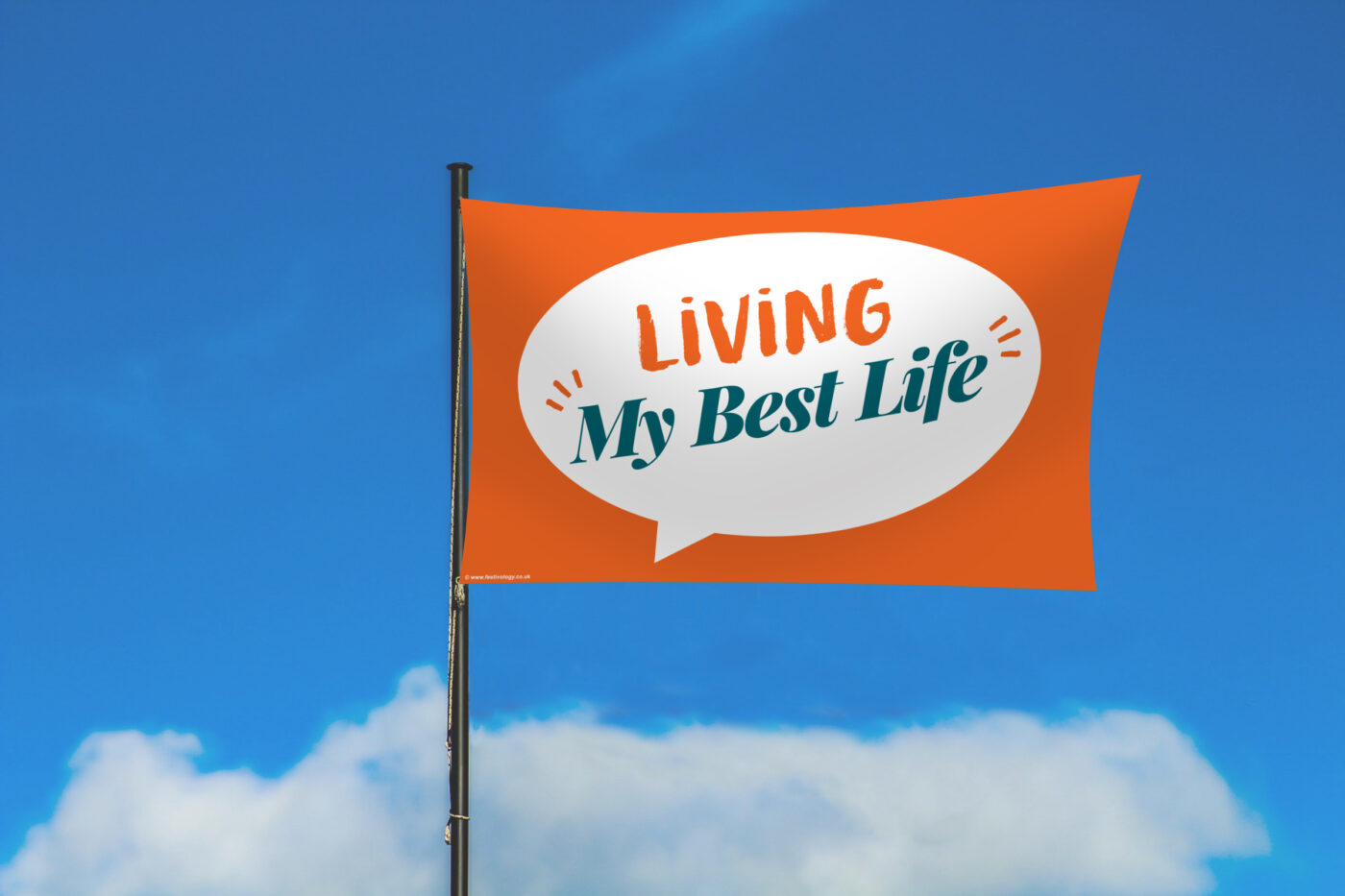 Living My Best Life Flag Kit - Image 3